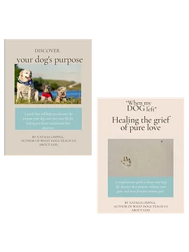 Complete Journey Pack: From Grief to Healing and Purpose