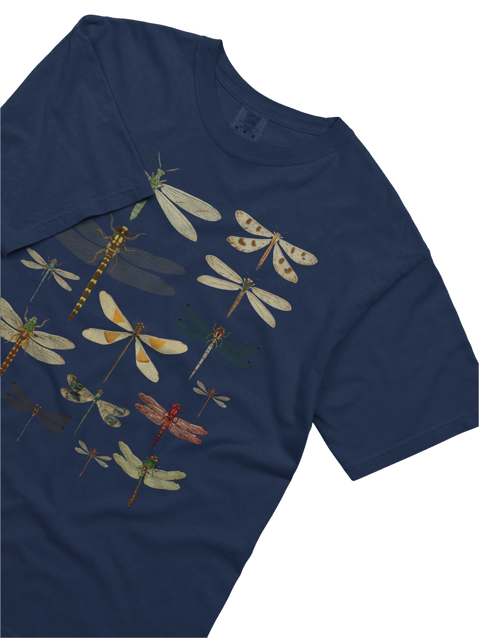 Vintage Dragonfly Illustration Shirt – Dark Academia Insect Tee, Nature Entomology Graphic product image (22)