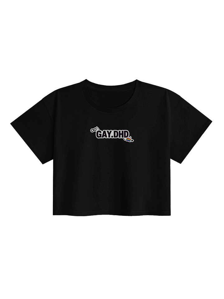 Pride 2026 Gay.Dhd Croptop. product image (1)