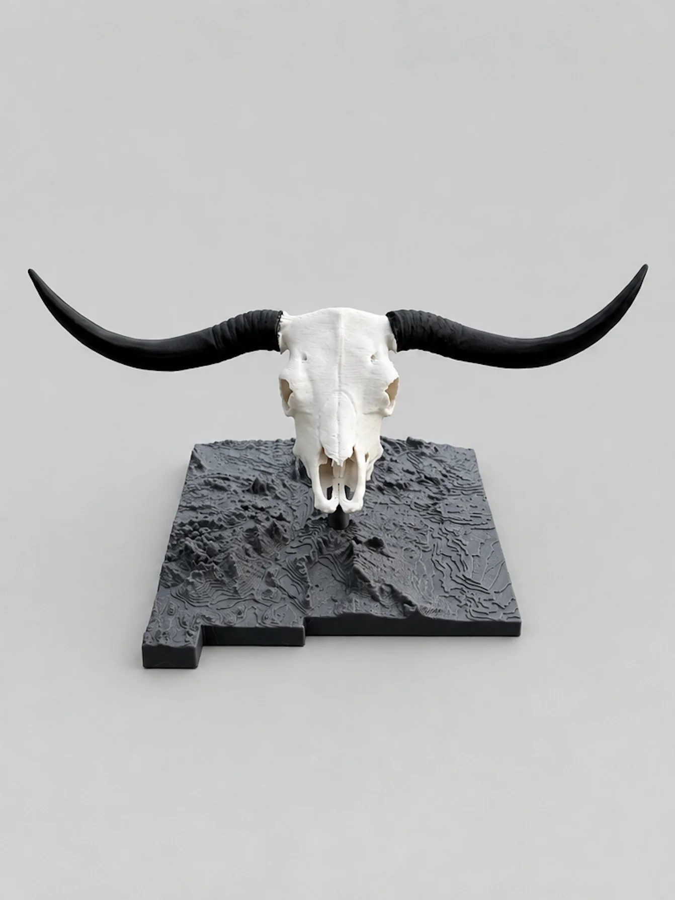 Longhorn Steer Euro Mount product image (1)