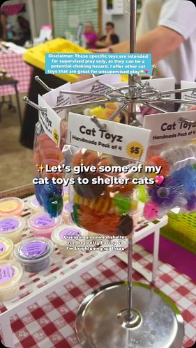Go volunteer at your local animal shelter!!💖🐱 I DARE YOU🤗🤗

#animalshelter #animalrescue #adopt #cats #sheltercats