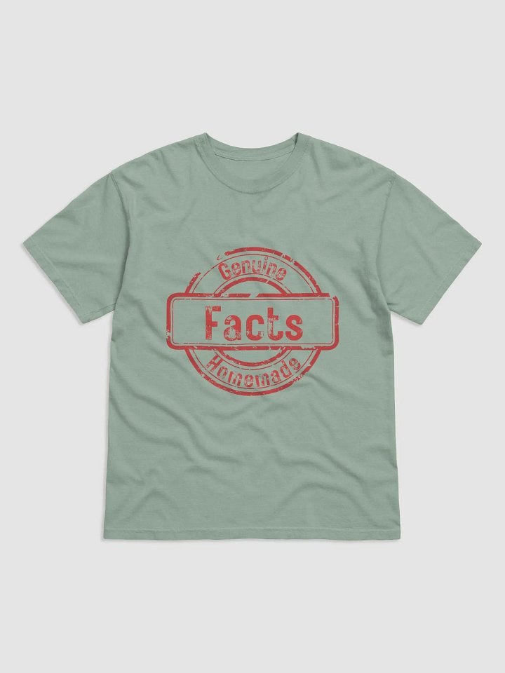 ETHANBOMB - FACTS T-SHIRT product image (6)