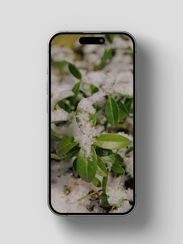 Let It Snow Wallpaper Pack product image (2)