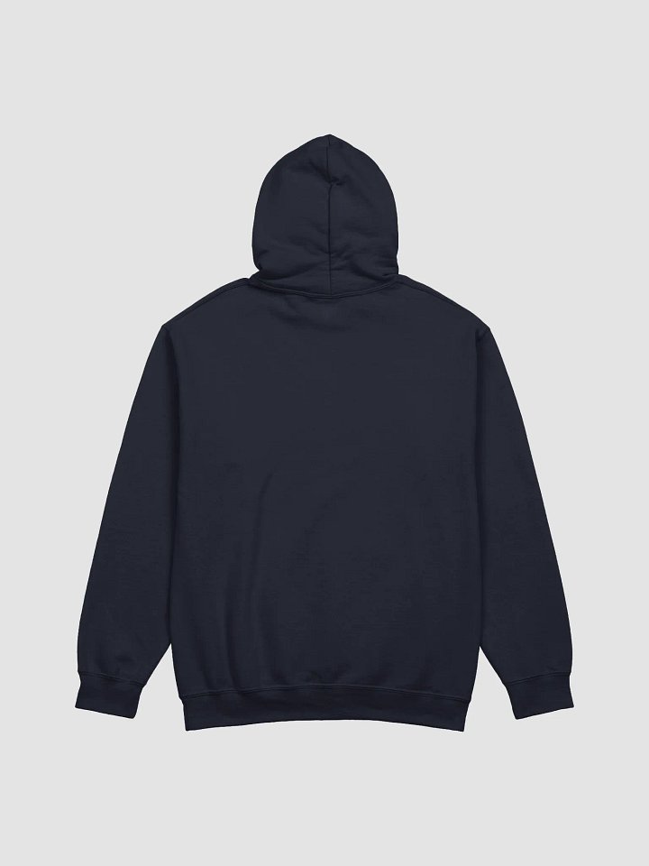 Traditional Gender Symbols Unisex Hoodie product image (2)