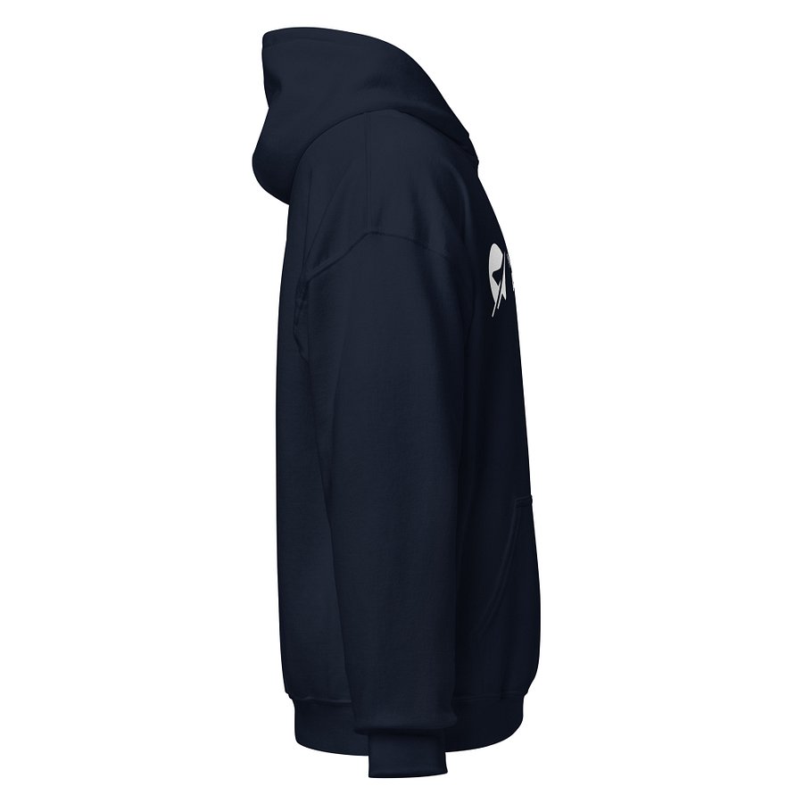 National Air and Space Museum Hoodie (Unisex) Image 4