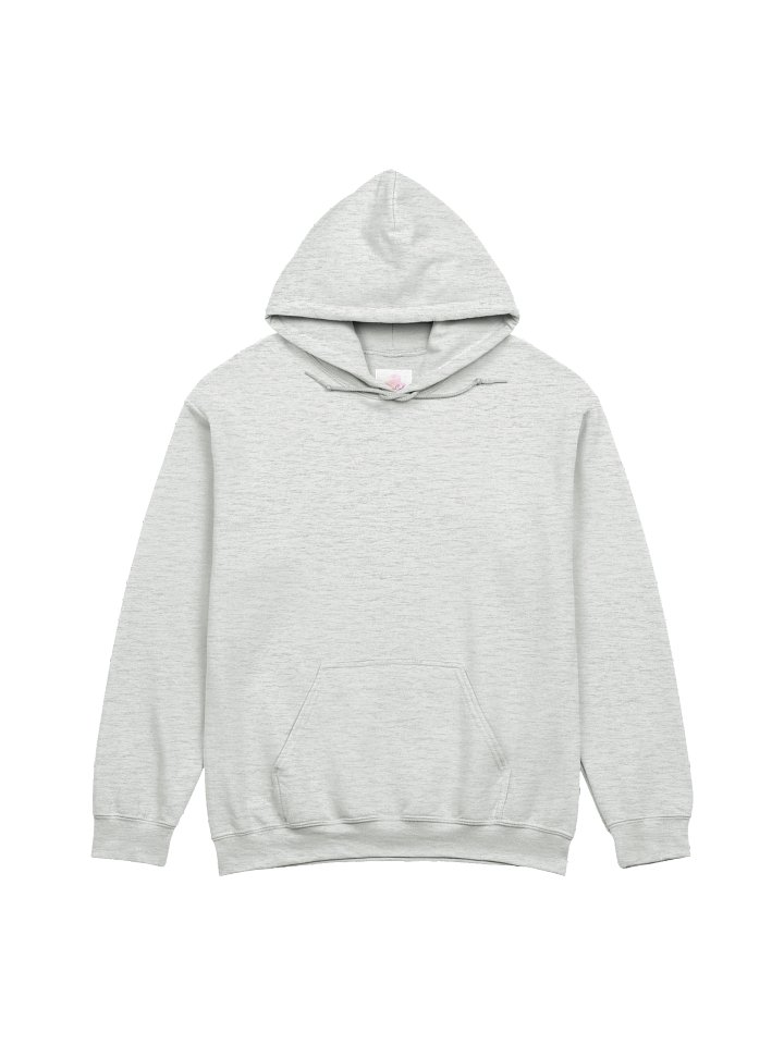 ZAYN HOODIE product image (4)