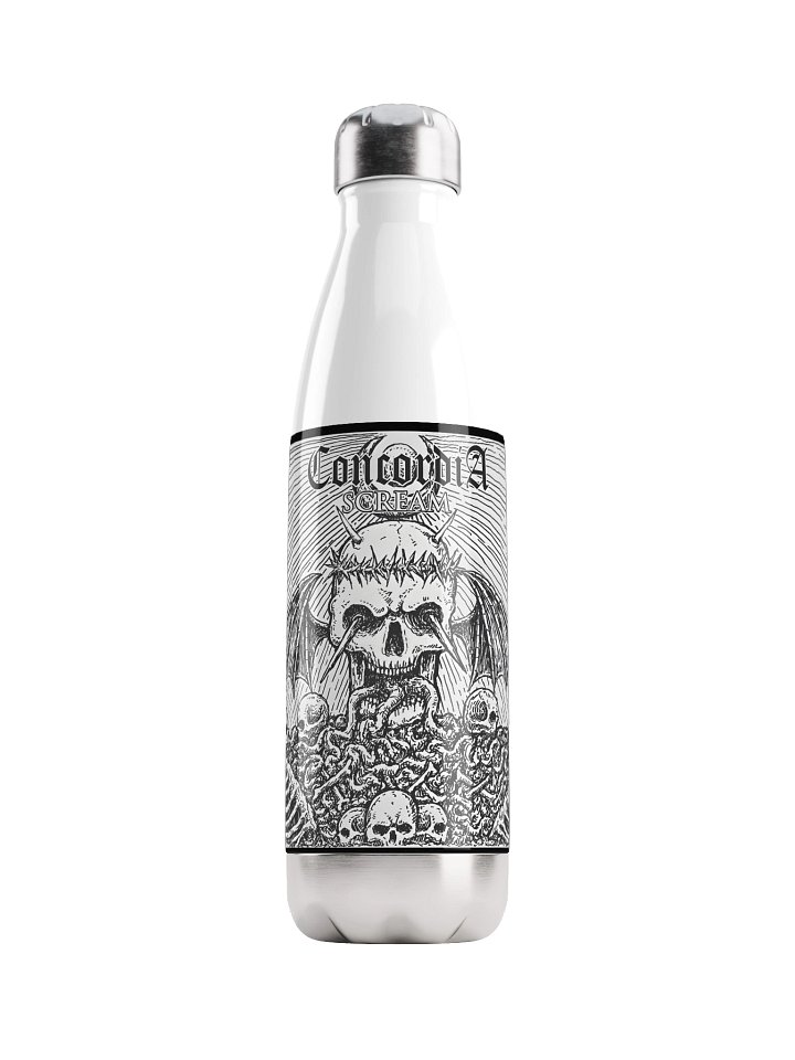 Steel bottle - Scream product image (1)