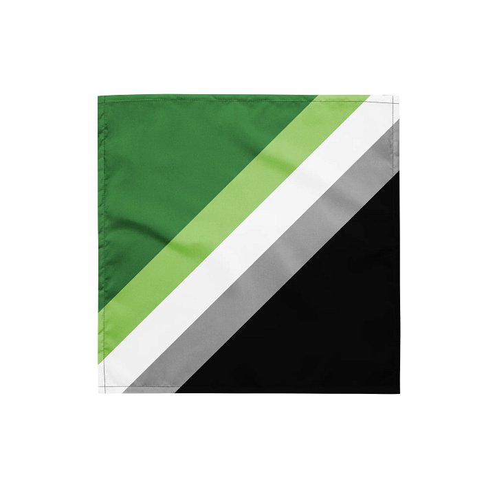 Aromantic Pride Flag product image (1)