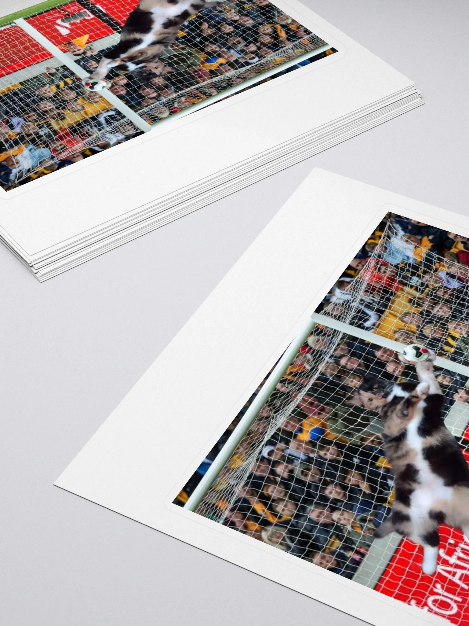 DENIED BY LYRA Sticker product image (4)