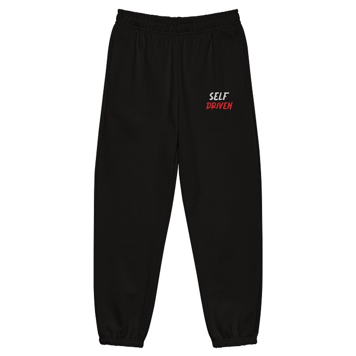 Self Driven Joggers product image (1)