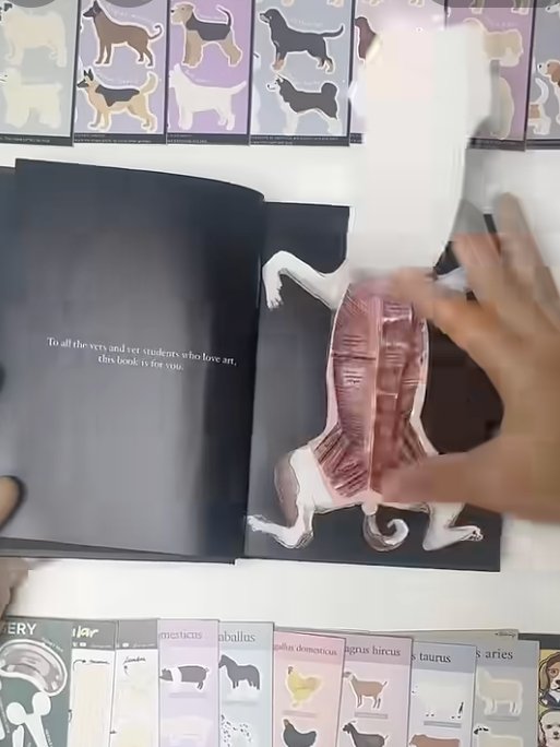 Vet Notes: Comparative Anatomy product image (7)
