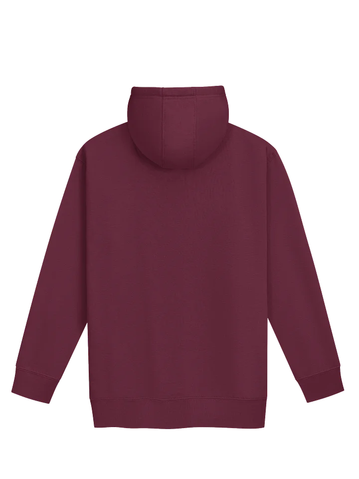 Seize The Day Premium Hoodie product image (2)