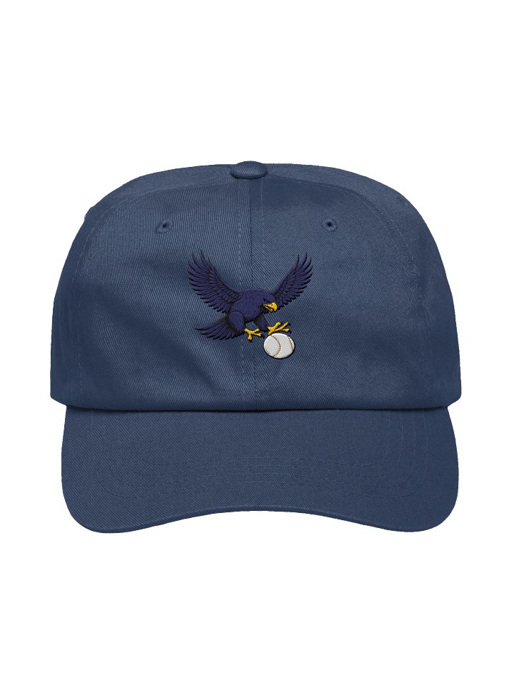 Falcons Baseball Hat — Embroidered product image (1)