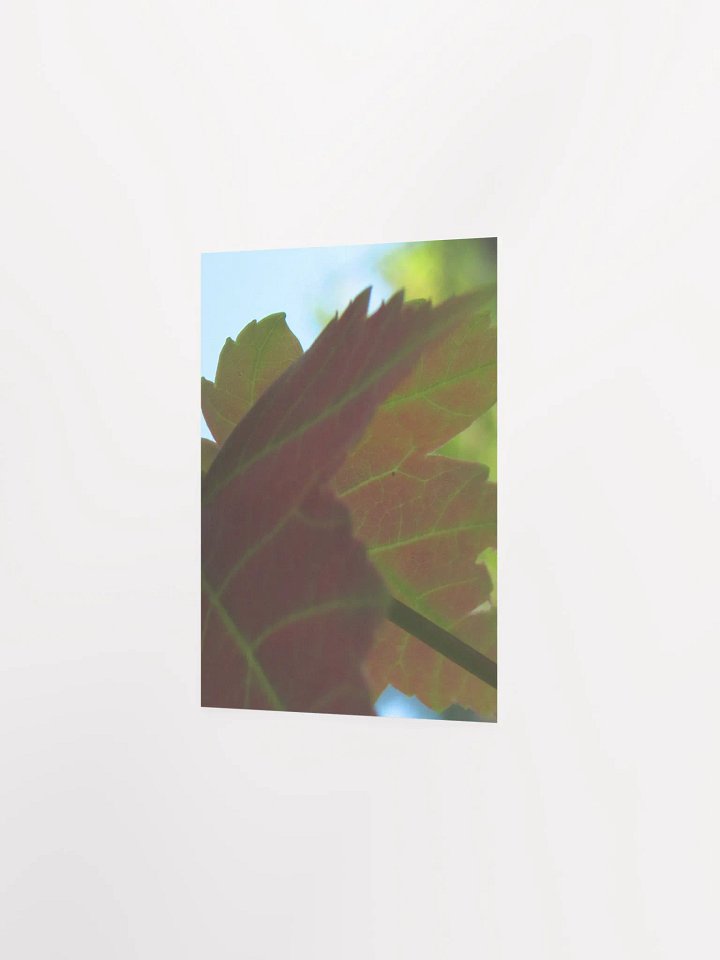 Leaf Close Up product image (16)