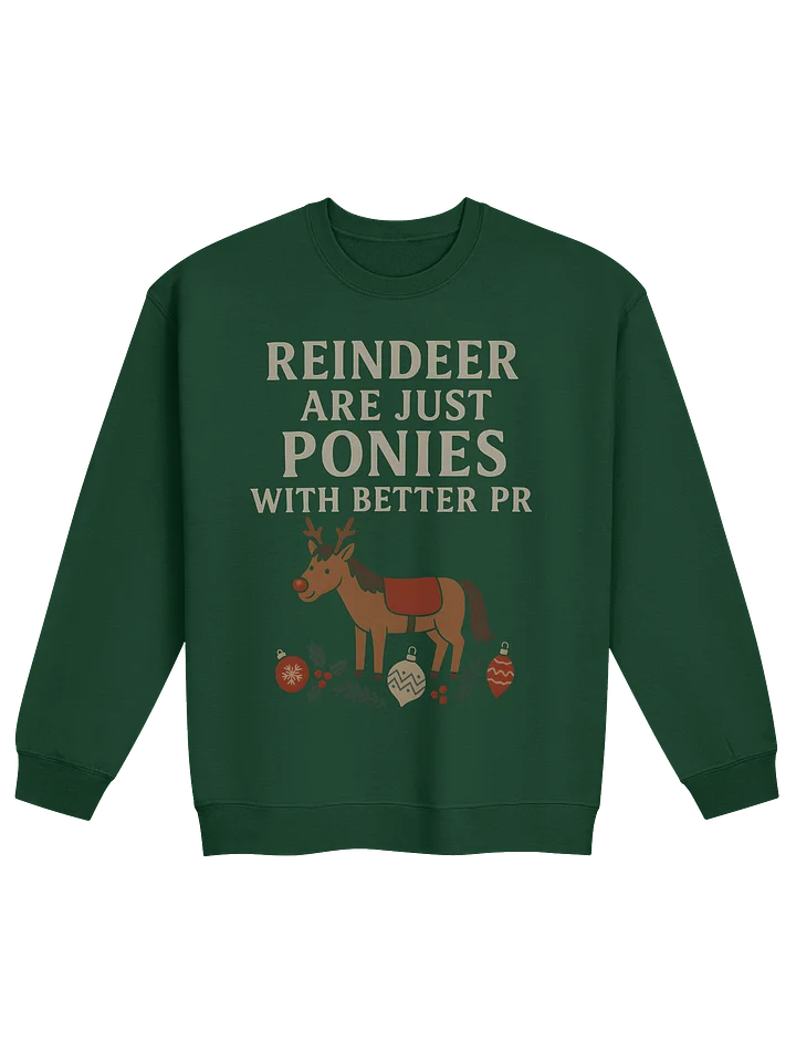 The Reindeer Ponies Sweatshirt product image (1)