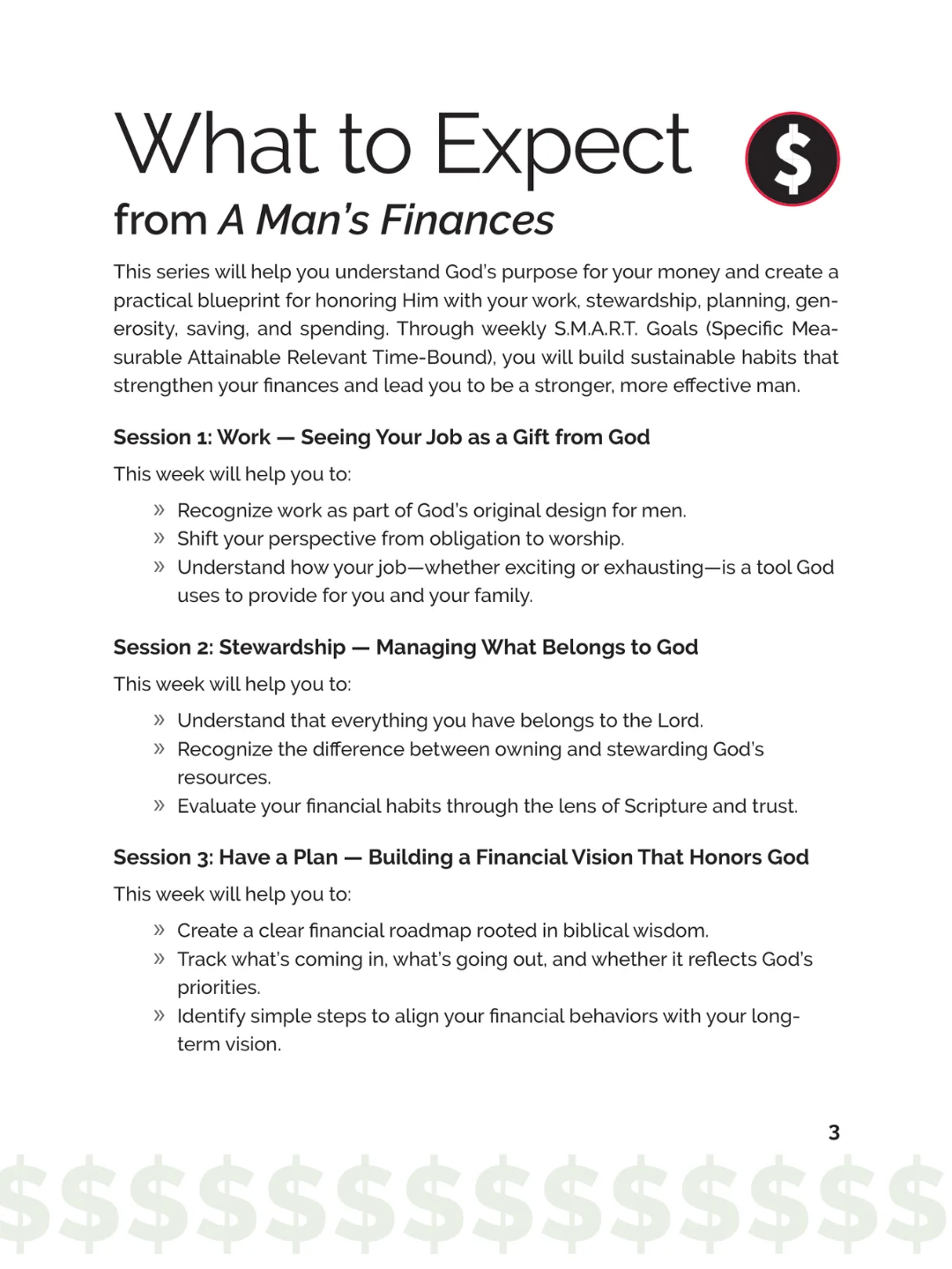 A Man's Finances Series Leader Pack product image (3)