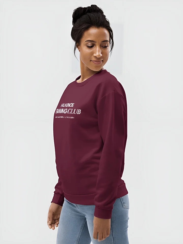 Training Club Sweatshirt - Plum product image (1)