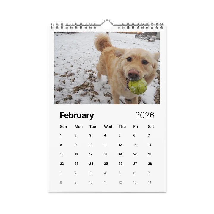 Milo's Life 2026 Wall Calendar product image (1)