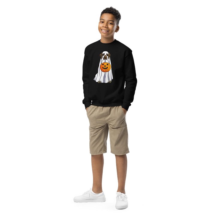 Halloween German Shorthaired Pointer(Liver) Youth Sweatshirt product image (2)