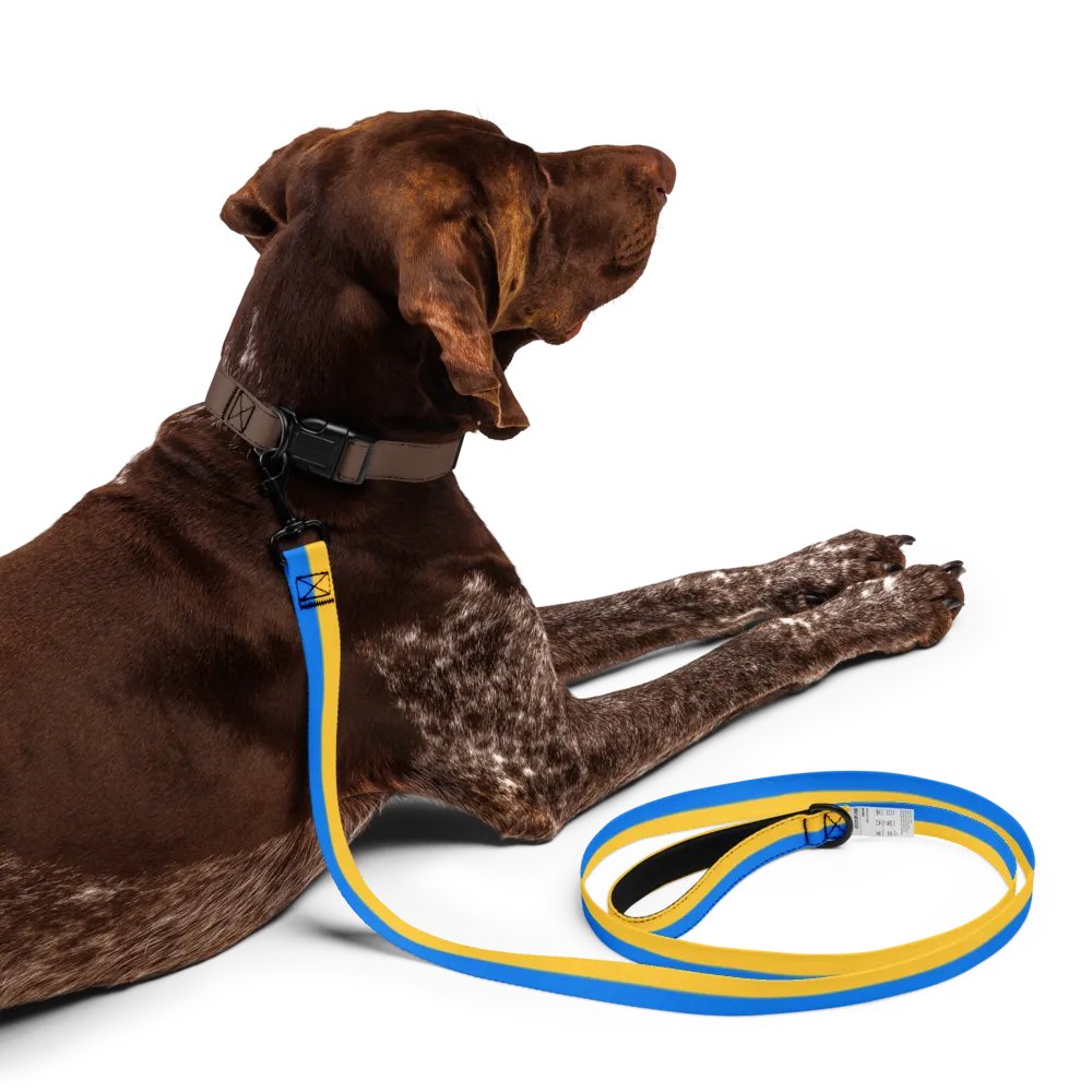 Sunset Stripes Pet Leash product image (5)