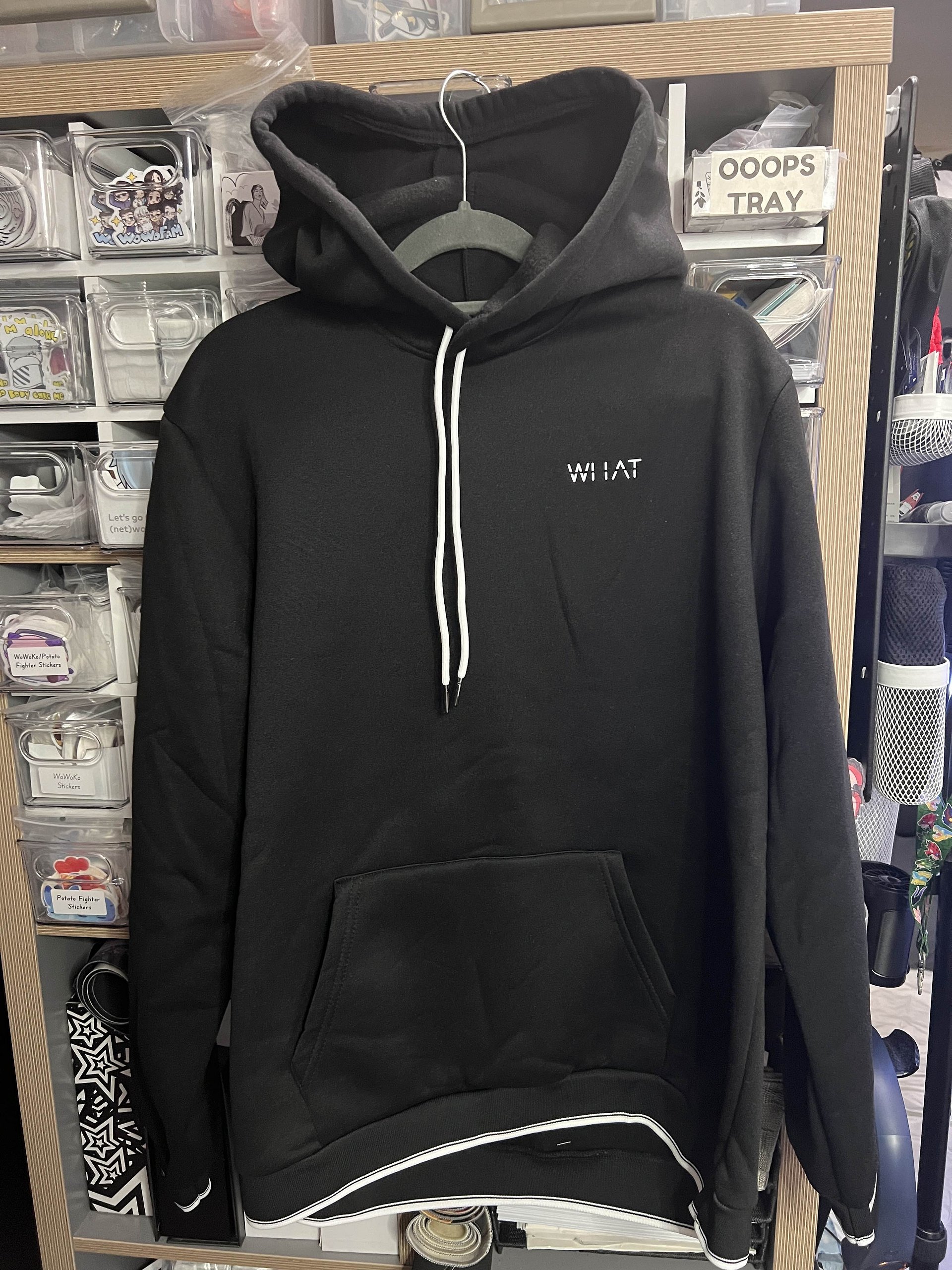 Guys Letter Graphic Kangaroo Pocket Drawstring Hoodie ( Tried on, but didn't fit) product image (4)