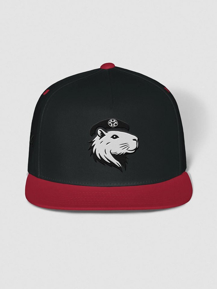 PoKa Symbio Snapback Cap - 2024 product image (1)