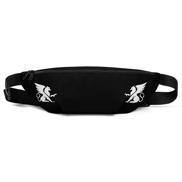 BITCHIN BELT BAG product image (1)