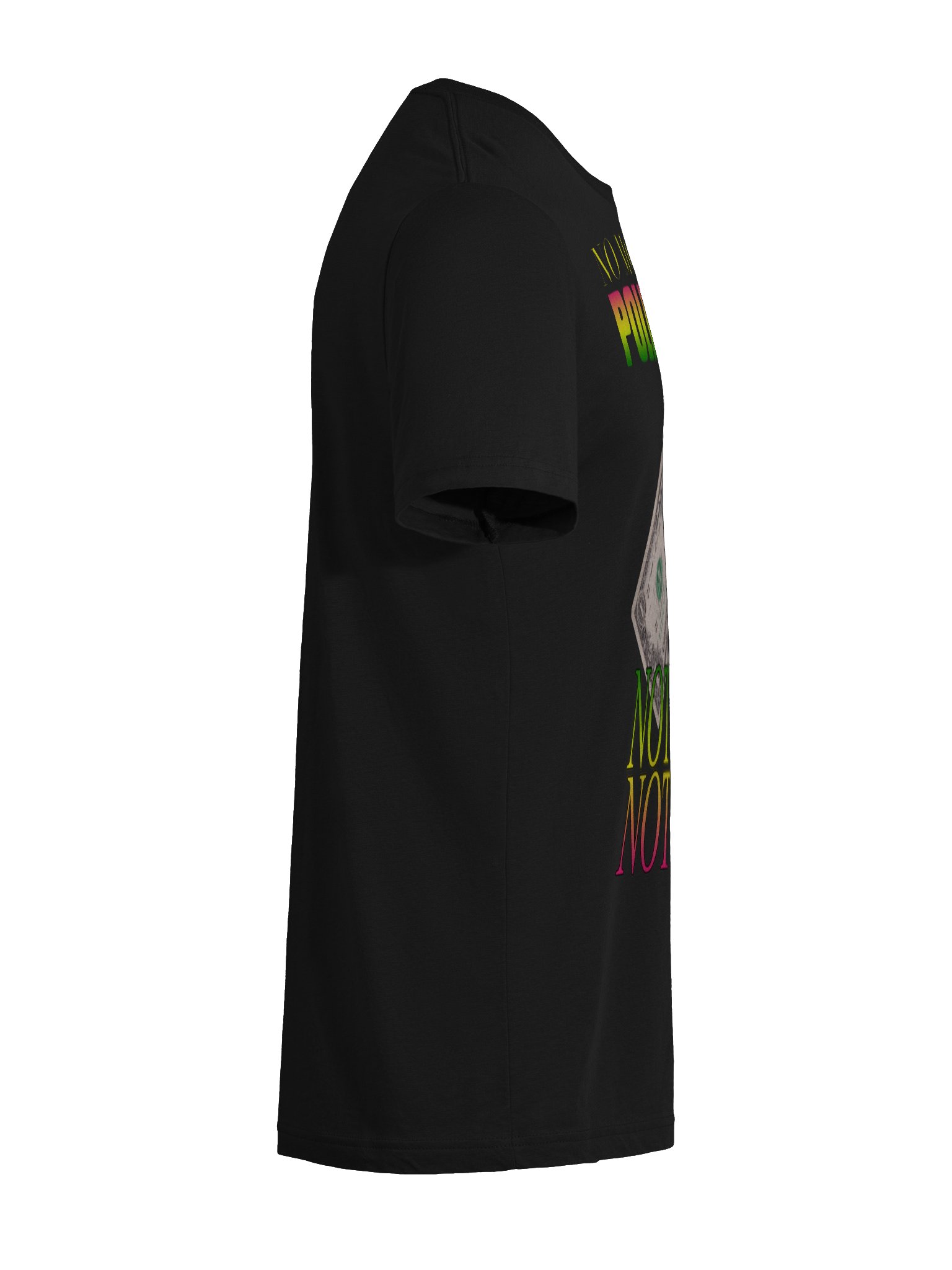 NO MONEY FOR POLITICIANS "TRI BLEND" product image (46)