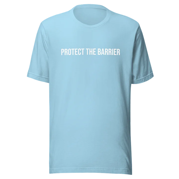 Protect the Barrier product image (19)