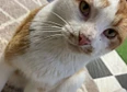 #catcam's tag thumbnail