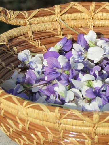 شاي زهور البنفسج product image (5)