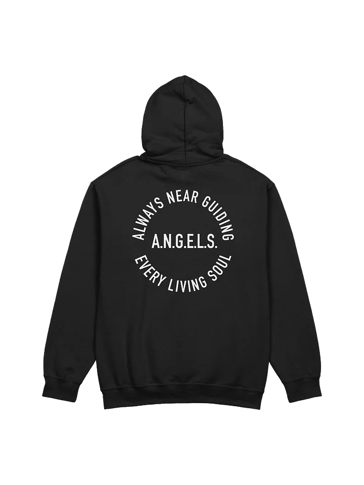 A.N.G.E.L.S. Hoodie product image (1)