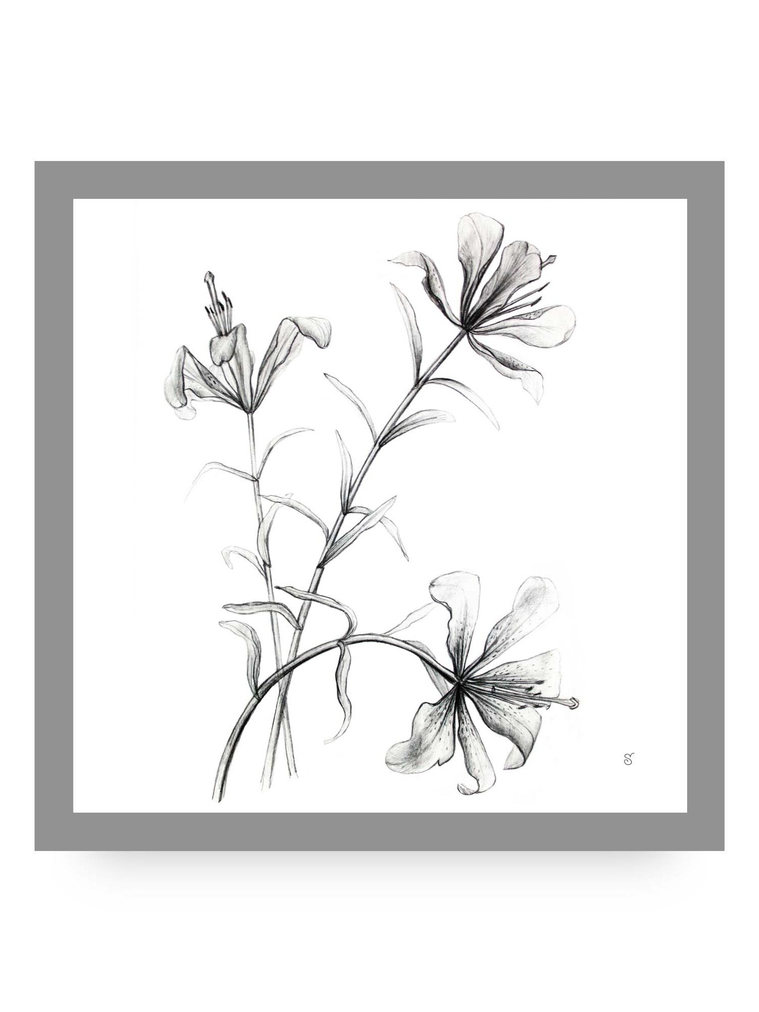 Blossom Canvas Collection - Wild Elegant Flowers product image (53)