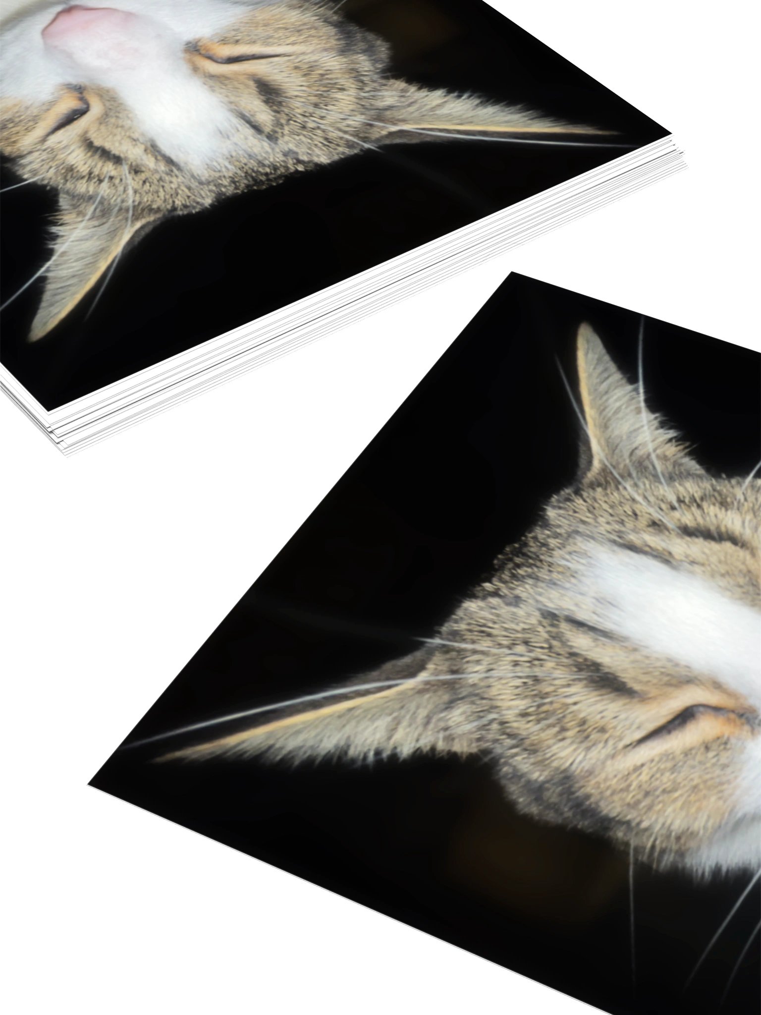 Oh you started talking again? product image (8)