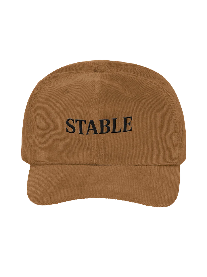 STABLE Baseball Cap product image (1)