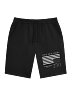 US Black Flag 250 Fleece Shorts