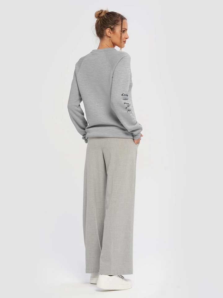 Joyful Comparison Raglan Sweatshirt product image (15)
