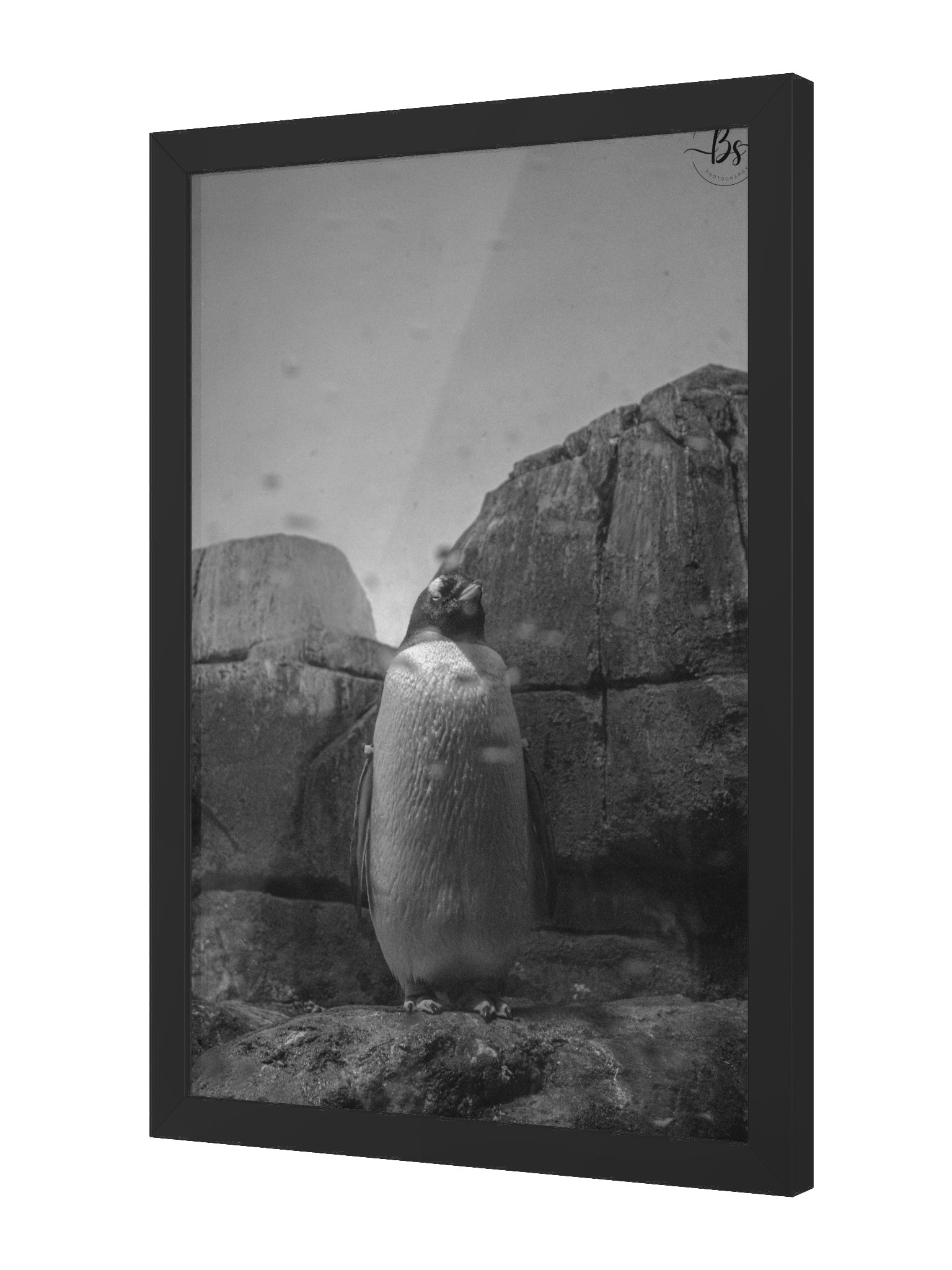 Standing tall product image (2)
