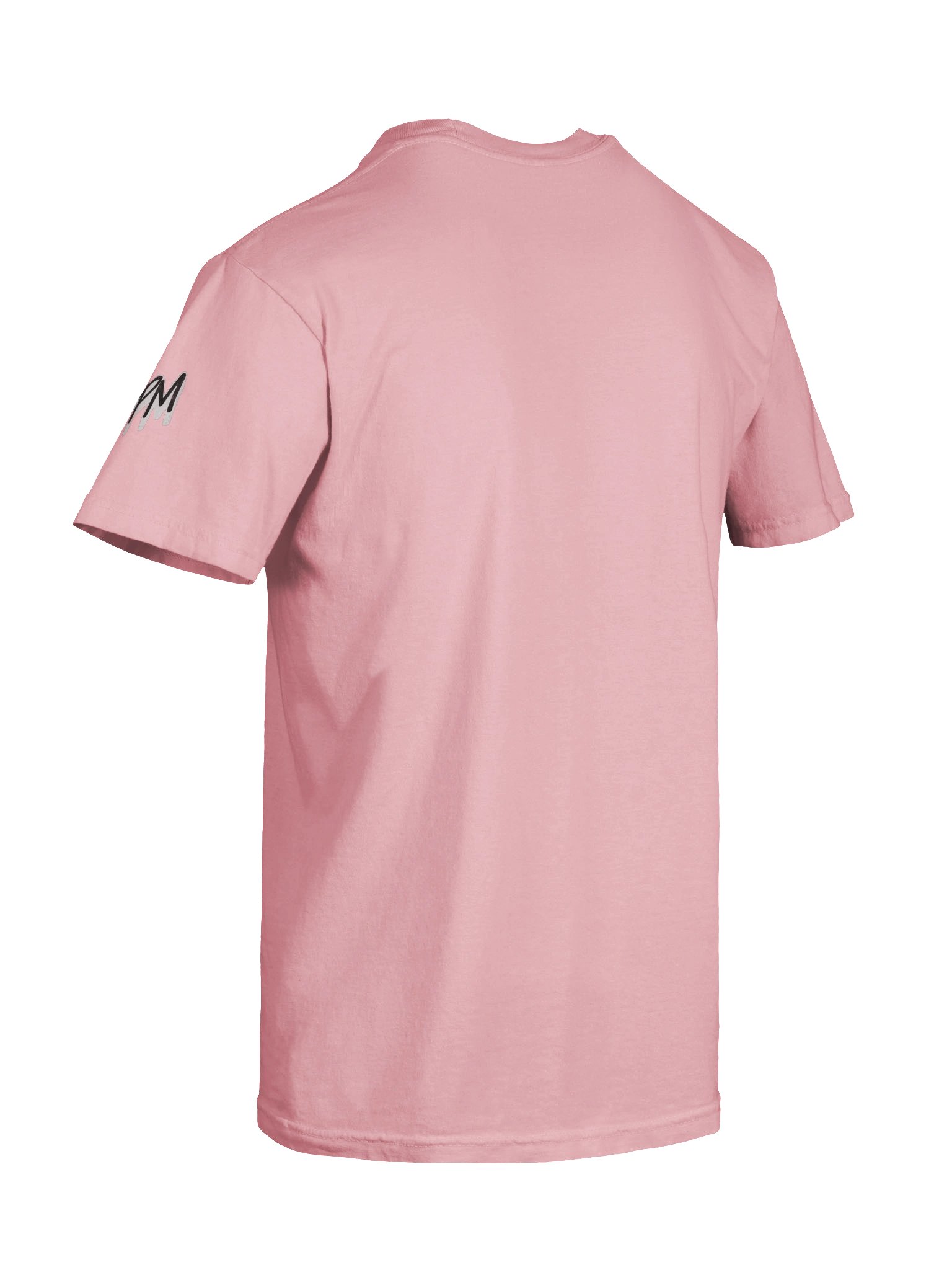 Lady Prominent Travel Logo Tee product image (47)