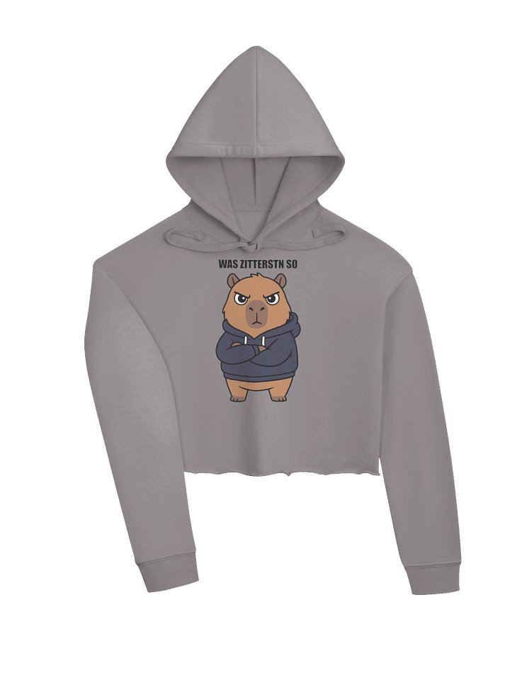 Bella+Canvas Women's Fleece Crop Hoodie product image (2)