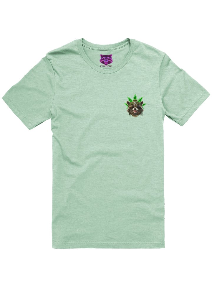 Snoop Raccoon product image (1)