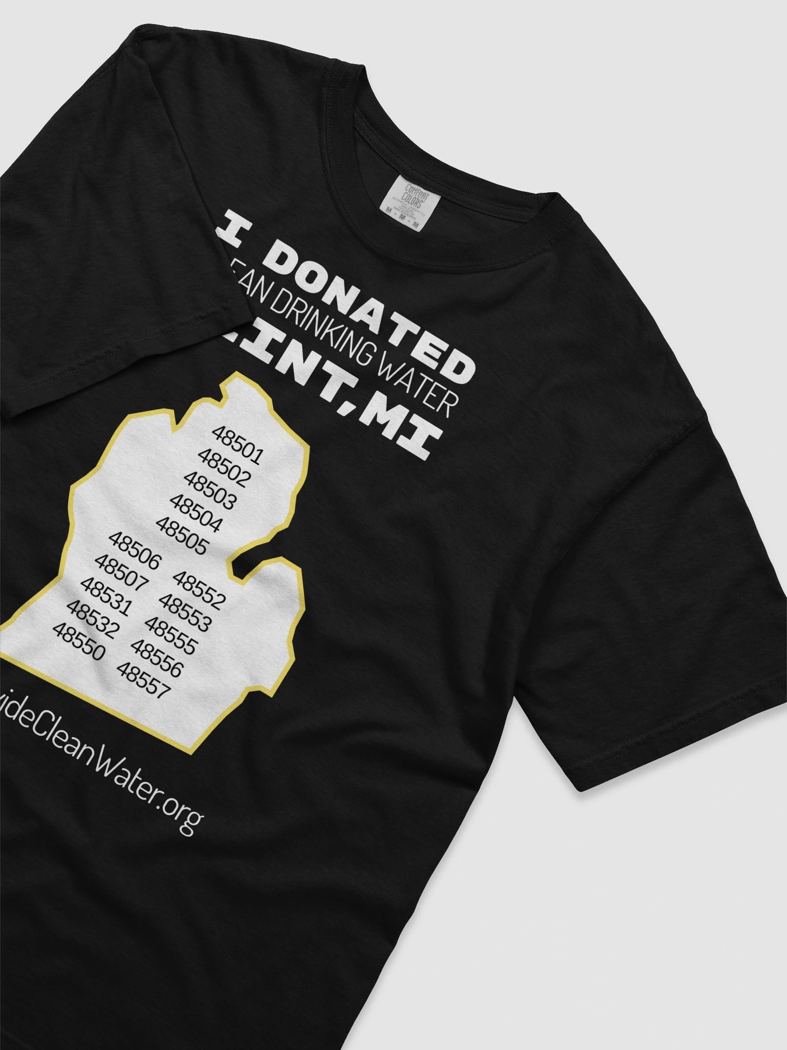 I Donated Flint, MI Color T-Shirt product image (5)