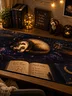 Dream Star's Moonlit Study Desk Mat