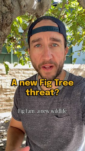 Plot Twist! There’s a new wild animal lurking in my backyard that’s interested in my fig tree. Menace or cutie pie? We may ne...