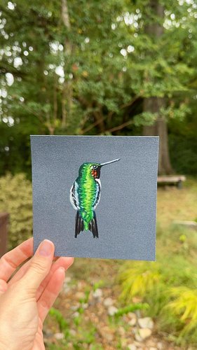 y’all would not believe how much I was giggling when I filmed this lmao. please enjoy hummingbirds at the speed of hummingbirds.