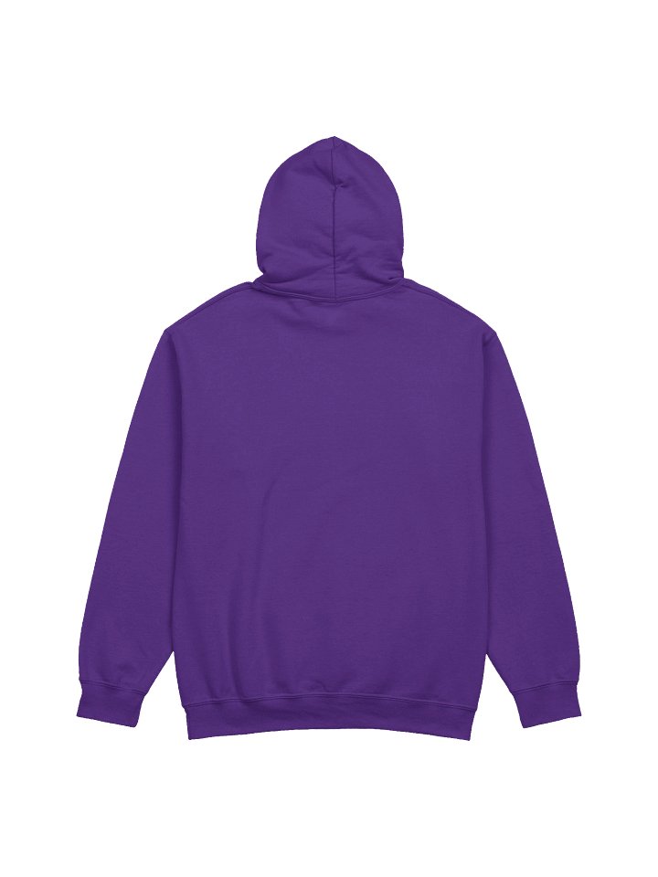 CHOSEN ONE TEAL RETRO SPECIAL EDITION HOODIE product image (15)