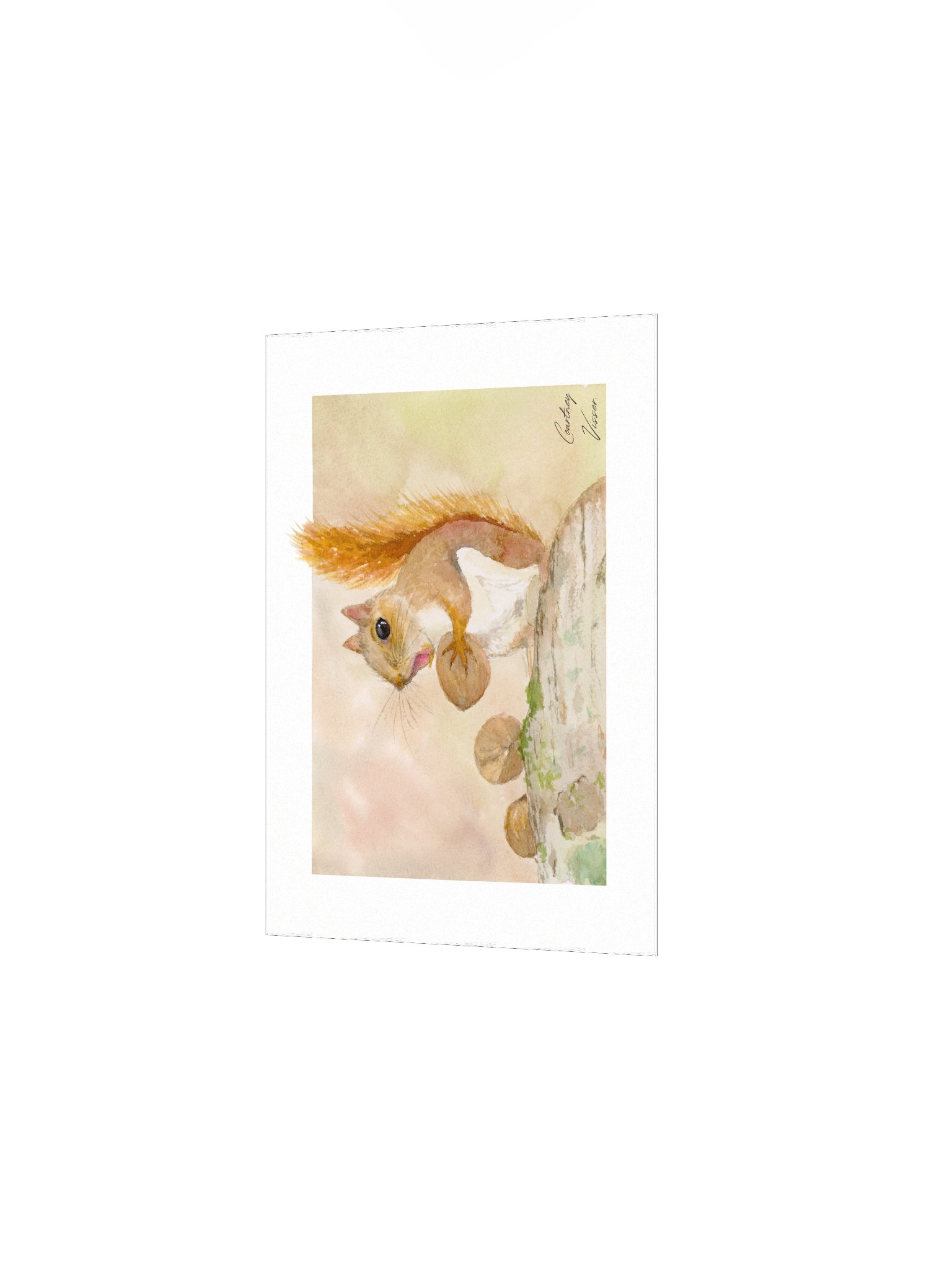 Squirrel print product image (3)