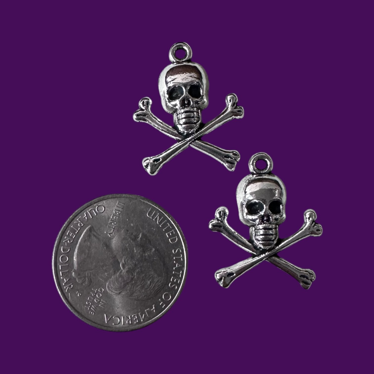 Skull and Crossbones Silver Whinny Winners Braid and Bridle Charms for Horses | Little Shop of Ponies product image (2)