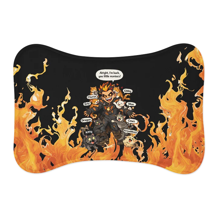 Little Maniacs Pet Feeding Mat product image (2)