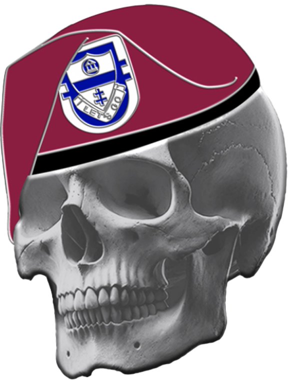 THE Unit Challenge Coin product image (1)